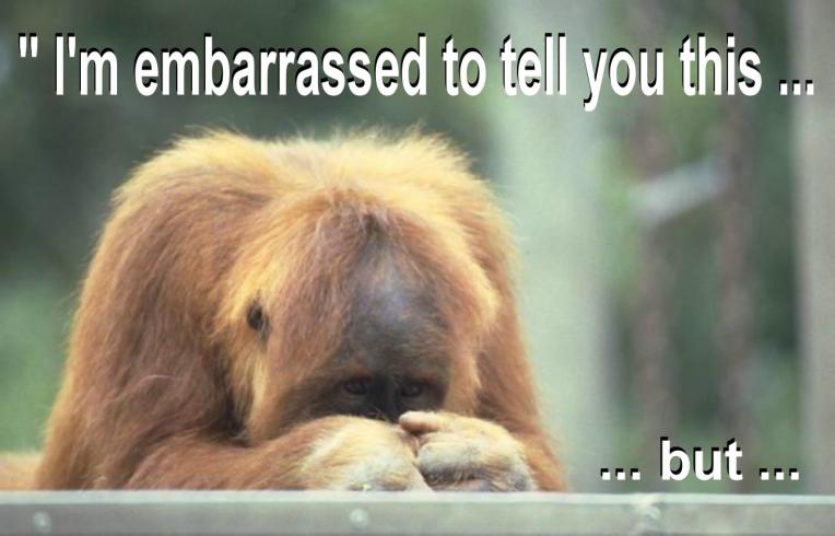 MONKEY VAL PIC - with text