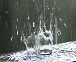 big-rain-plops-cropped-for-background1.jpg