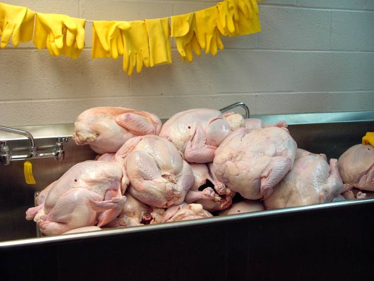 MOUND OF RAW TURKEYS