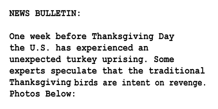 TURKEY NEWS BULLETIN