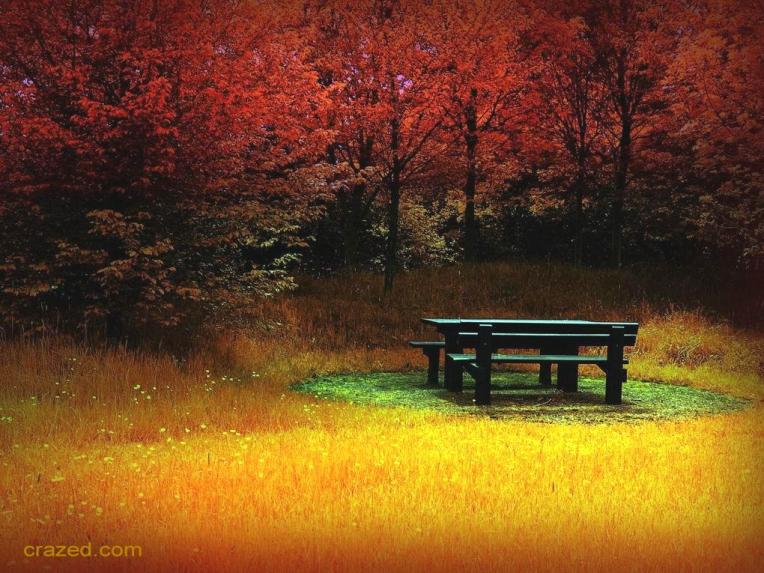 BRILLIANT AUTUMN FOREST, TABLE - SMALLER, crazed credits