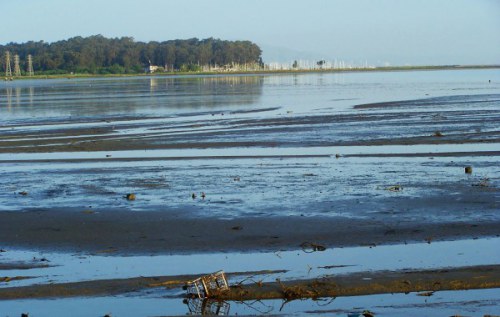 the-tide-is-out-copyright-bw-beacham