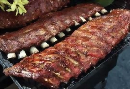 RIBS