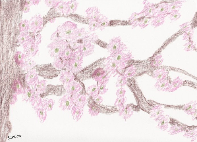 CHERRY BLOSSOMS - EDITED - w. credits