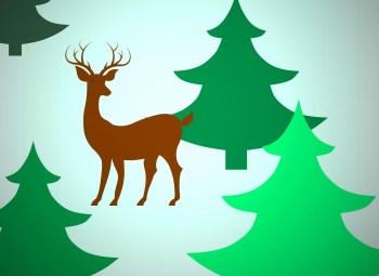 ARNOLD WALKING THROUGH WOODS 2ND TIME - CORRECTED