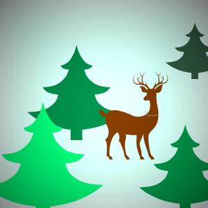 ARNOLD WALKING THROUGH WOODS - flipped. WHITE SPLOTLIGHTJPG