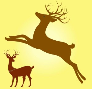 ARNOLD'S PRACTICE FLIGHTS - holly flipped