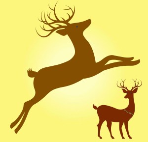 ARNOLD'S PRACTICE FLIGHTS W. HOLLY