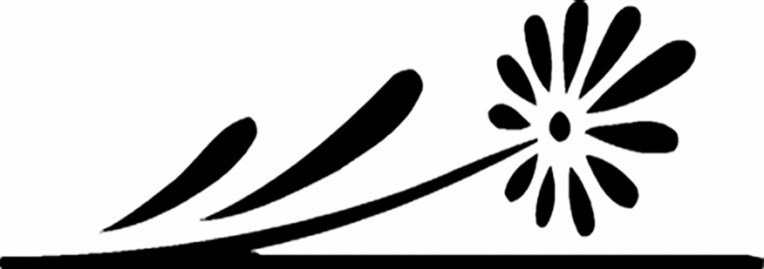 BLACK & WHITE FLOWER