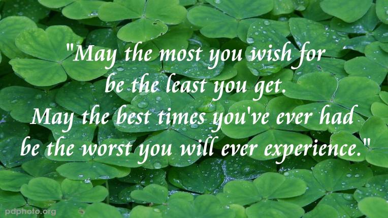 IRISH CLOVER - PD PHOTO - IRISH BLESSING