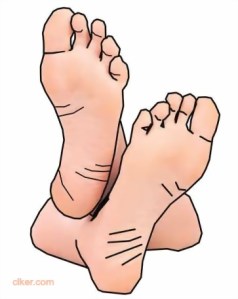 FEET, CLKER.COM 2 - credits