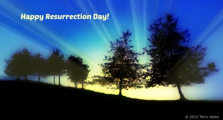 TERRY'S BLUE TREES WITH SUNRISE & BURST