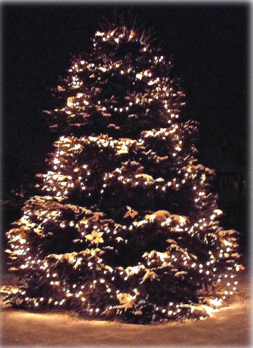 CHRISTMAS TREE - GOLD - sharp edge - brighter