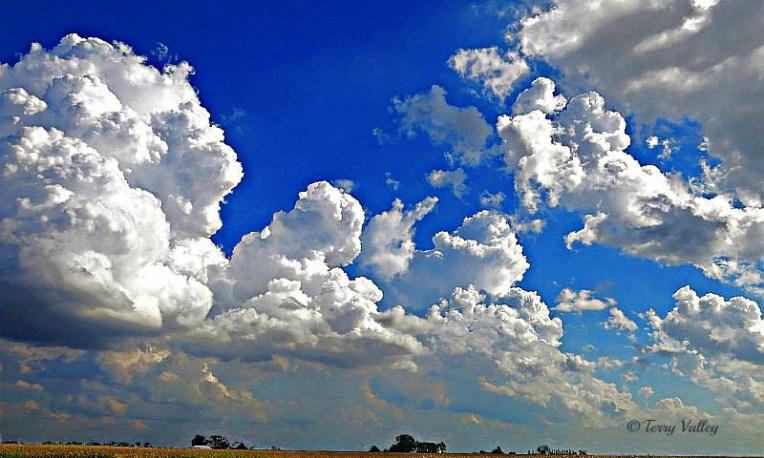 CLOUDS & CORNFIELD - TERRY cropped for top