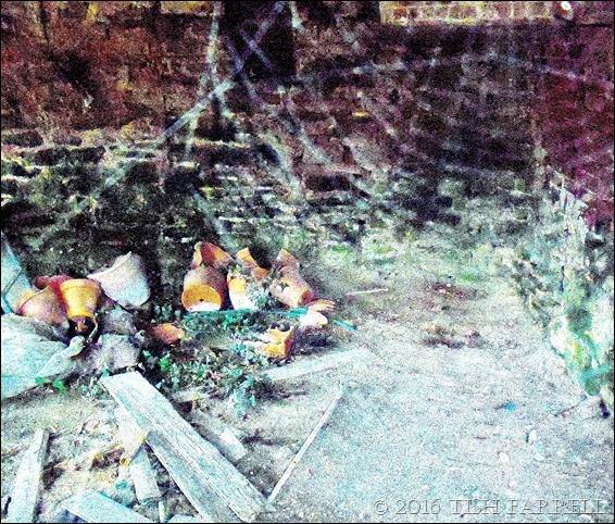 TISH FERRELL'S SPIDER WEB