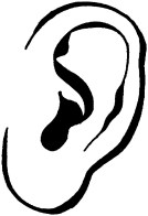 Ear 2