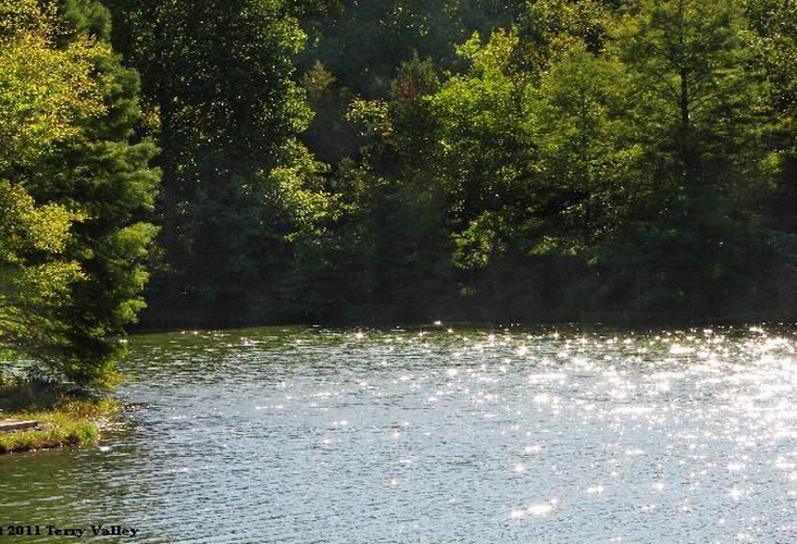 TERRY'S SPARKLING LAKE