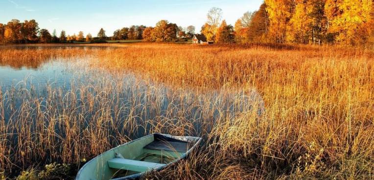 21414680_1953196728273186_6963562905604745687_o