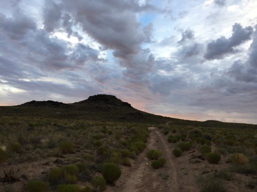 FF - DANNY BOWMAN LANDSCAPE