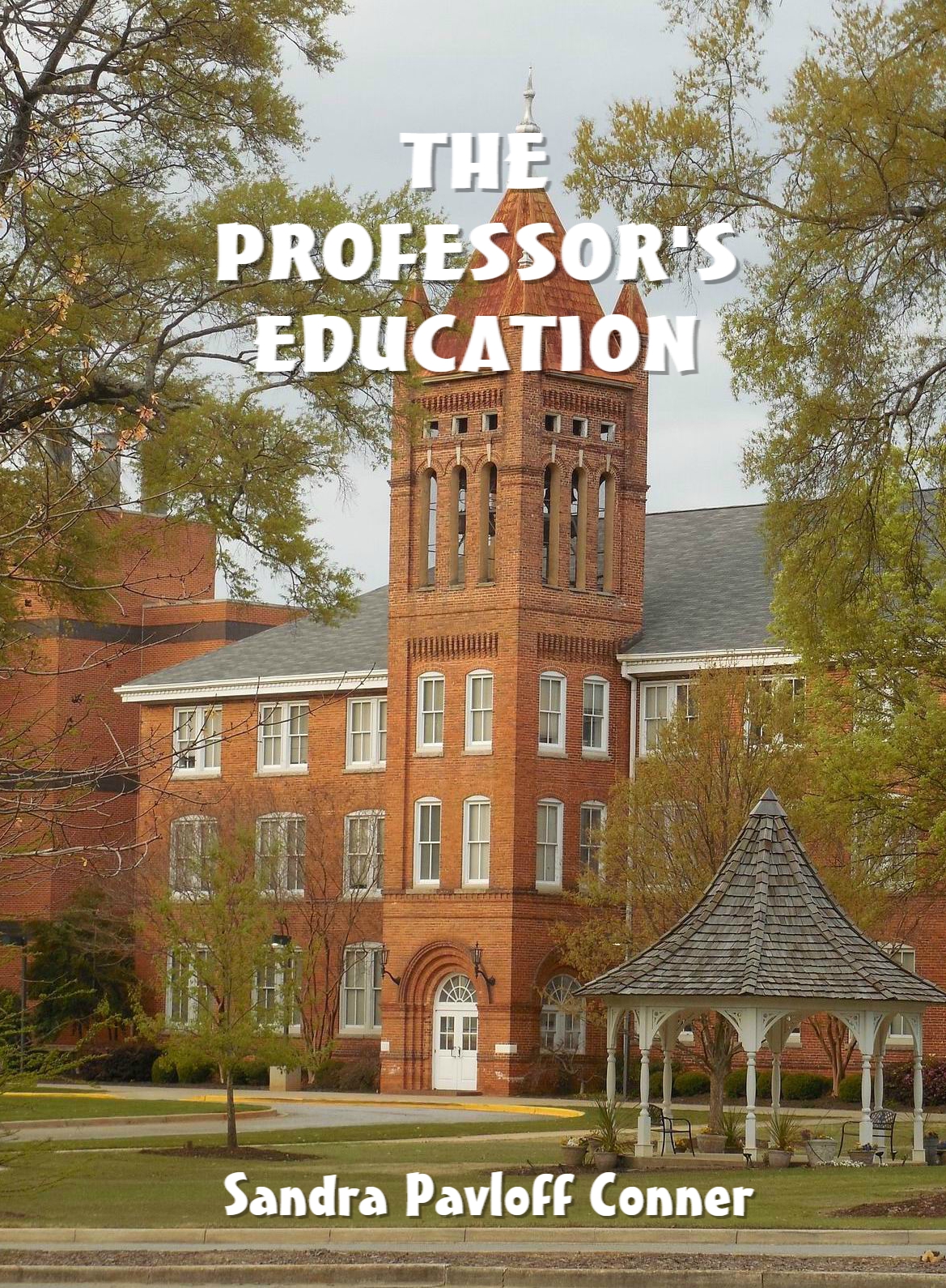 PROFESSOR'S EDUCATION COVER