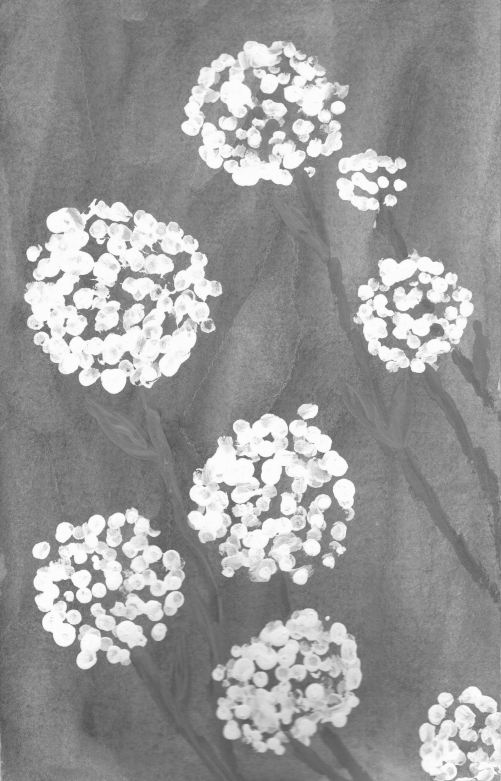 DANDELION FLOWERS - B & W