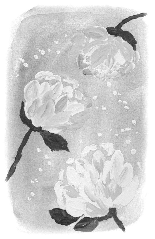 PEONIES ON BLUE SOFT EDGE - smaller B & W