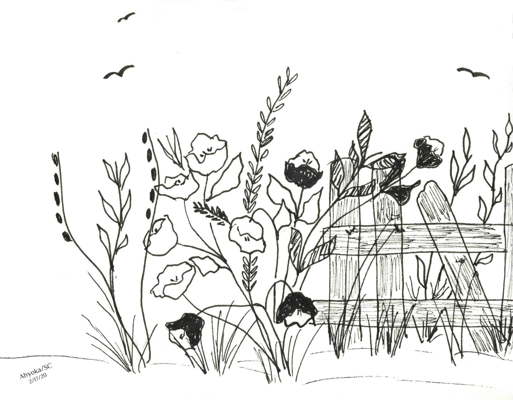 COUNTRY FENCE W. CREDITS