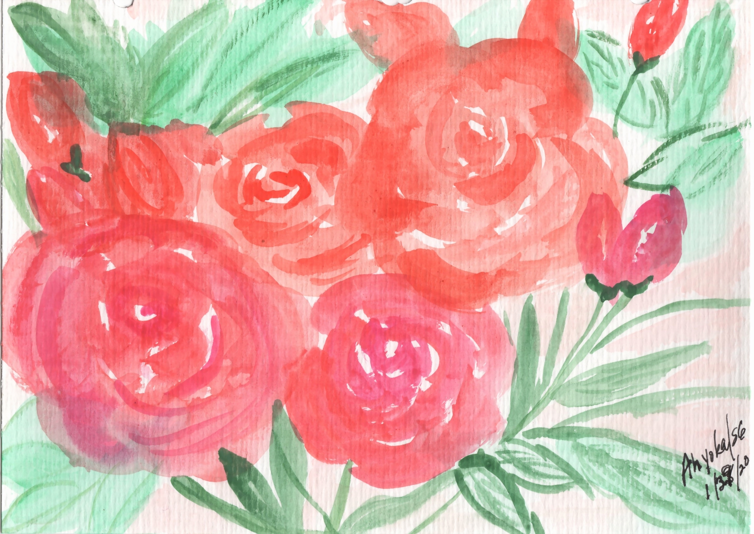 SUMMER ROSES