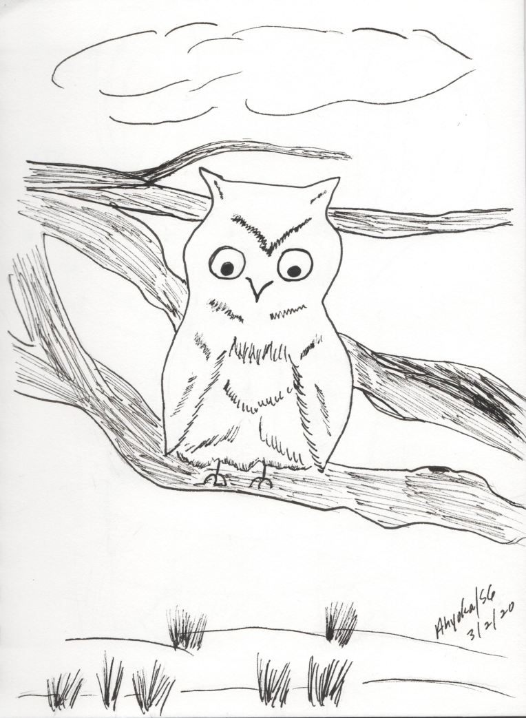 OWL ON LIMB - INK SKETCH