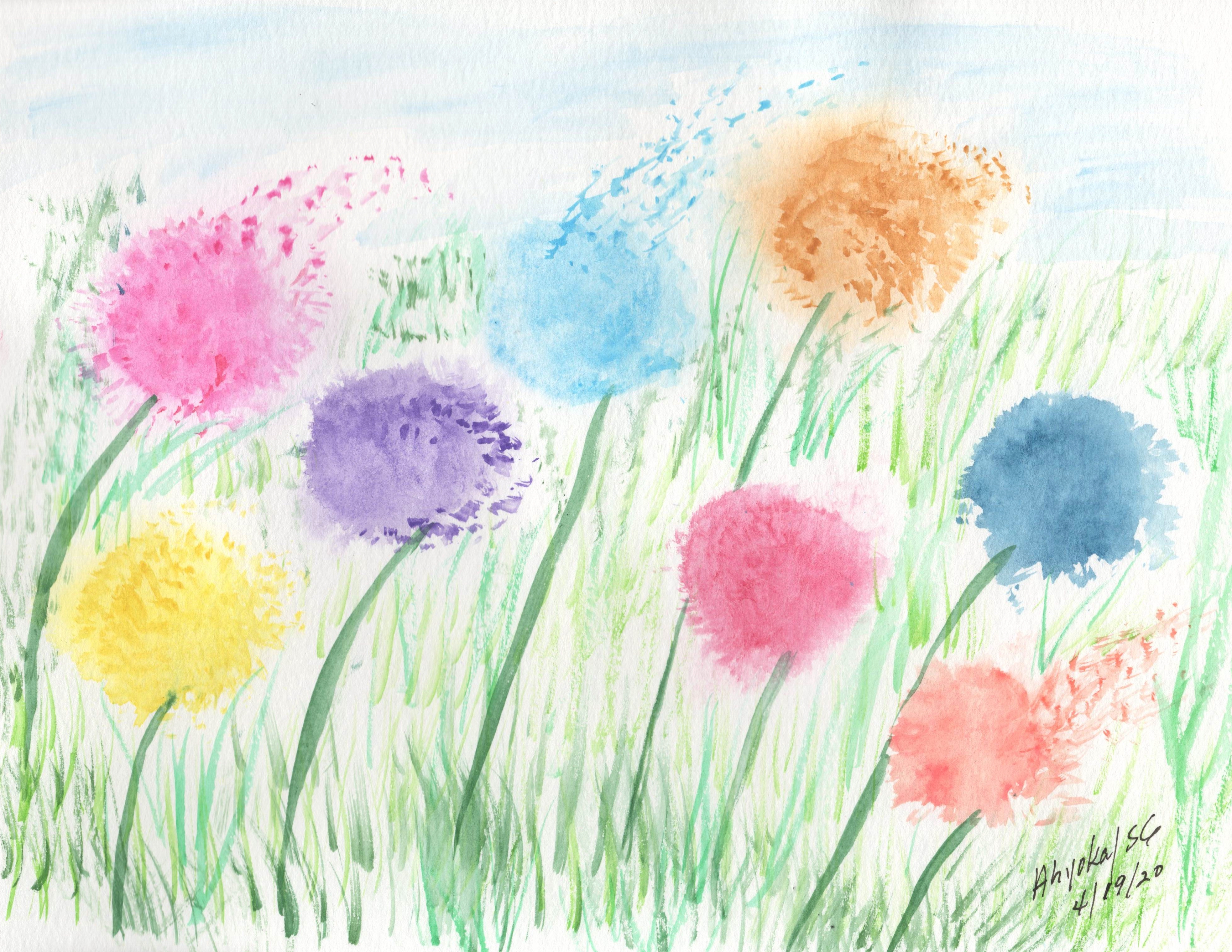 RAINBOW DANDELIONS